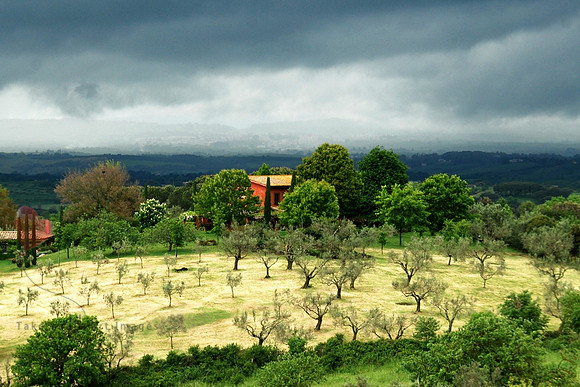 August Storm Over Monterosi
