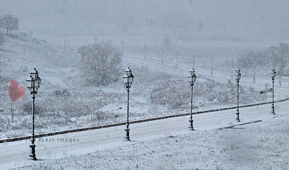 Whiteout