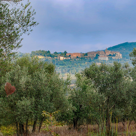 Morning Light in Tuscany