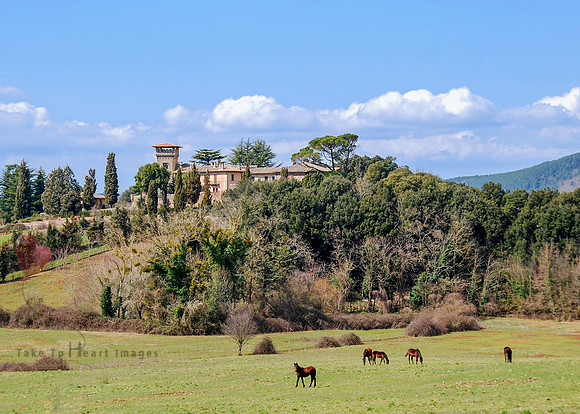 A Tuscan Villa