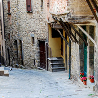 This Old Street