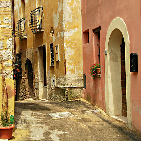 Pink and Gold