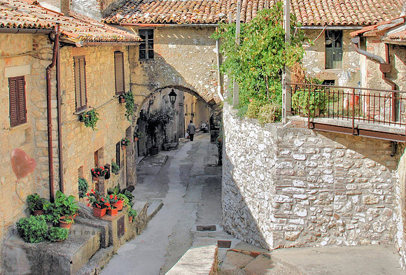 The Lane Below