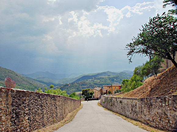 A Lane with a View