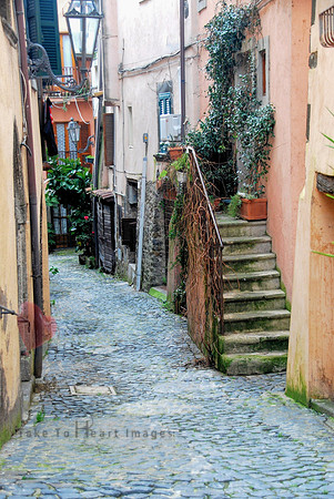 Back Lane