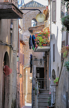 Blooms and Laundry Above