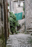 Greens