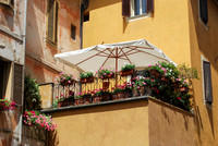 Under an Umbrella