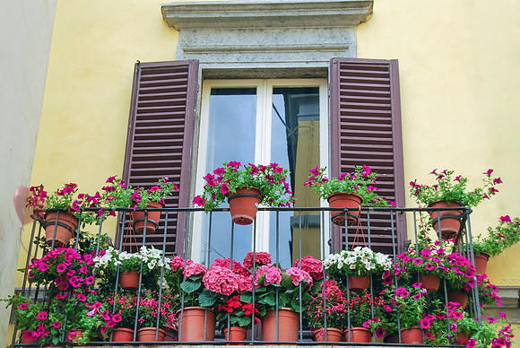 Pink and White