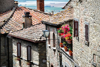 Blooms and Medieval Walls
