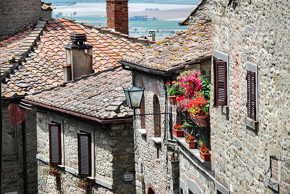 Blooms and Medieval Walls