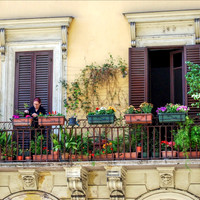 A Garden in Rome