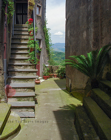 A Lane with a View