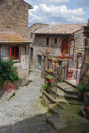 Village Delight