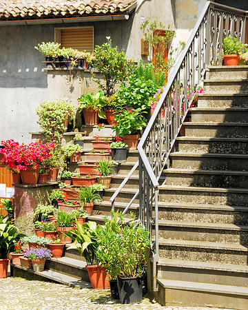 Step Garden