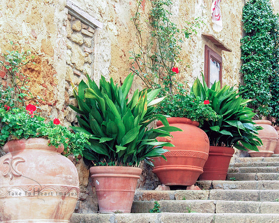 Pienza Planted Pots
