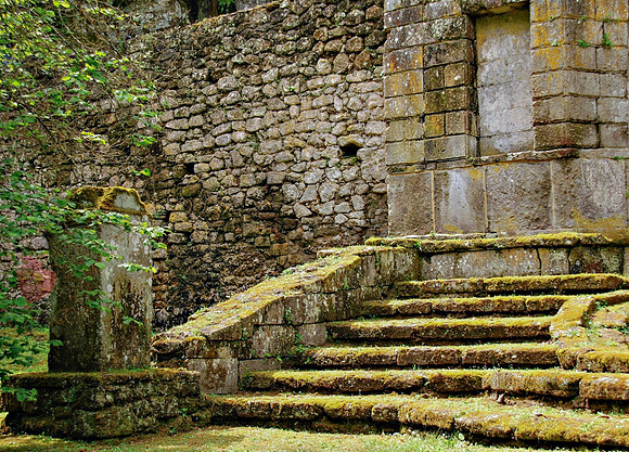 A Once Lost Garden
