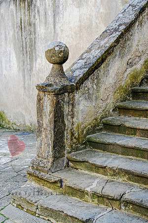 Steps Through Time
