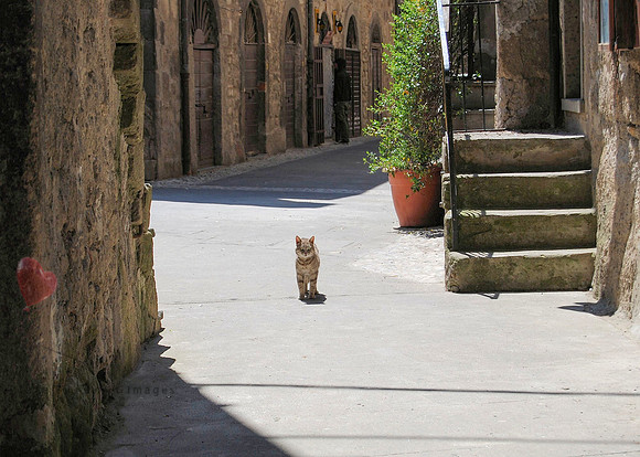 On a Medieval Lane