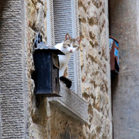 I See You
