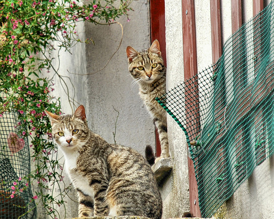 Checking You Out