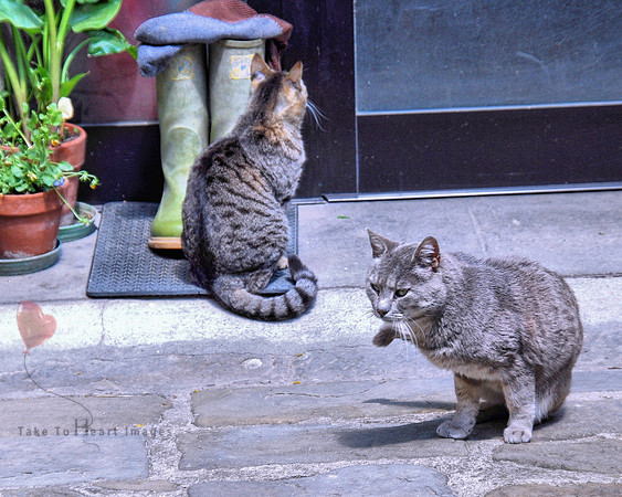 Let Us In