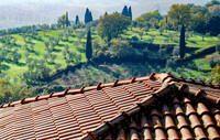 Beyond the Rooftop