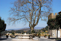 A Fountain with a View