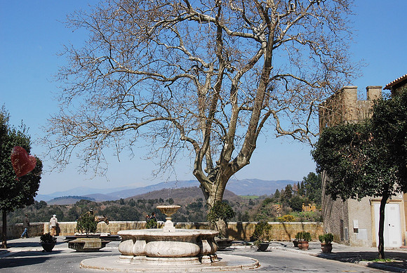 A Fountain with a View