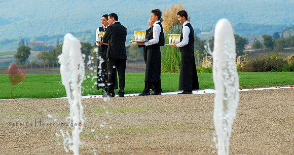 Ready to Greet Wedding Guests