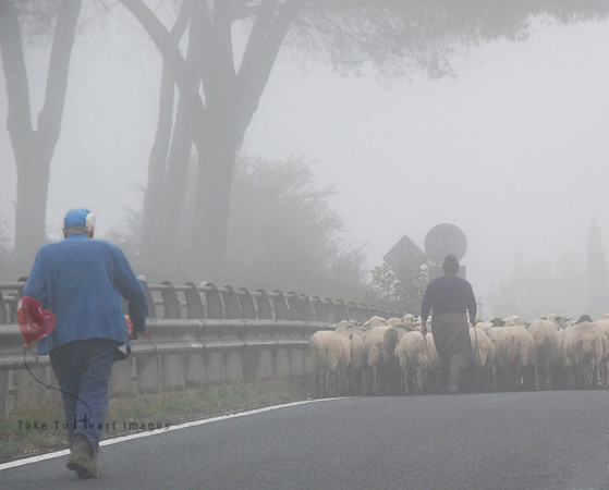 Slow Going in the Fog