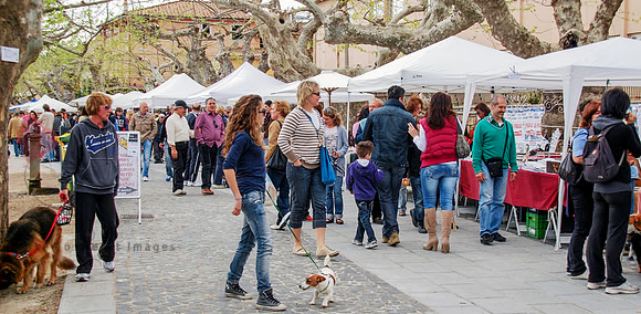 Market Day