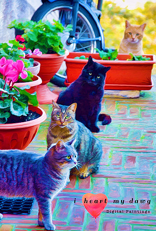 Italian Street Cats