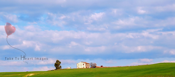 Alone on a Hill, but Not Lonely